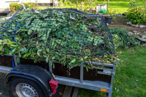 Best Hoarding Cleanup  in Glendale, CA